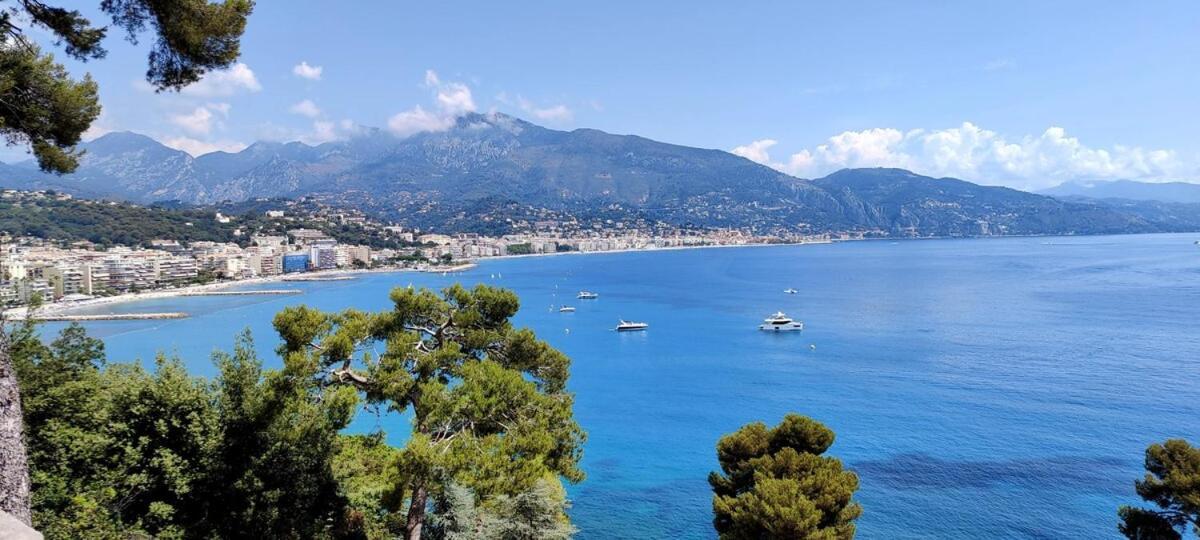 Le Coq -Splendide Vue -Magnifique Piscine -Parking Daire Cap-d'Ail Dış mekan fotoğraf